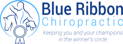 Blue Ribbon Chiropractic